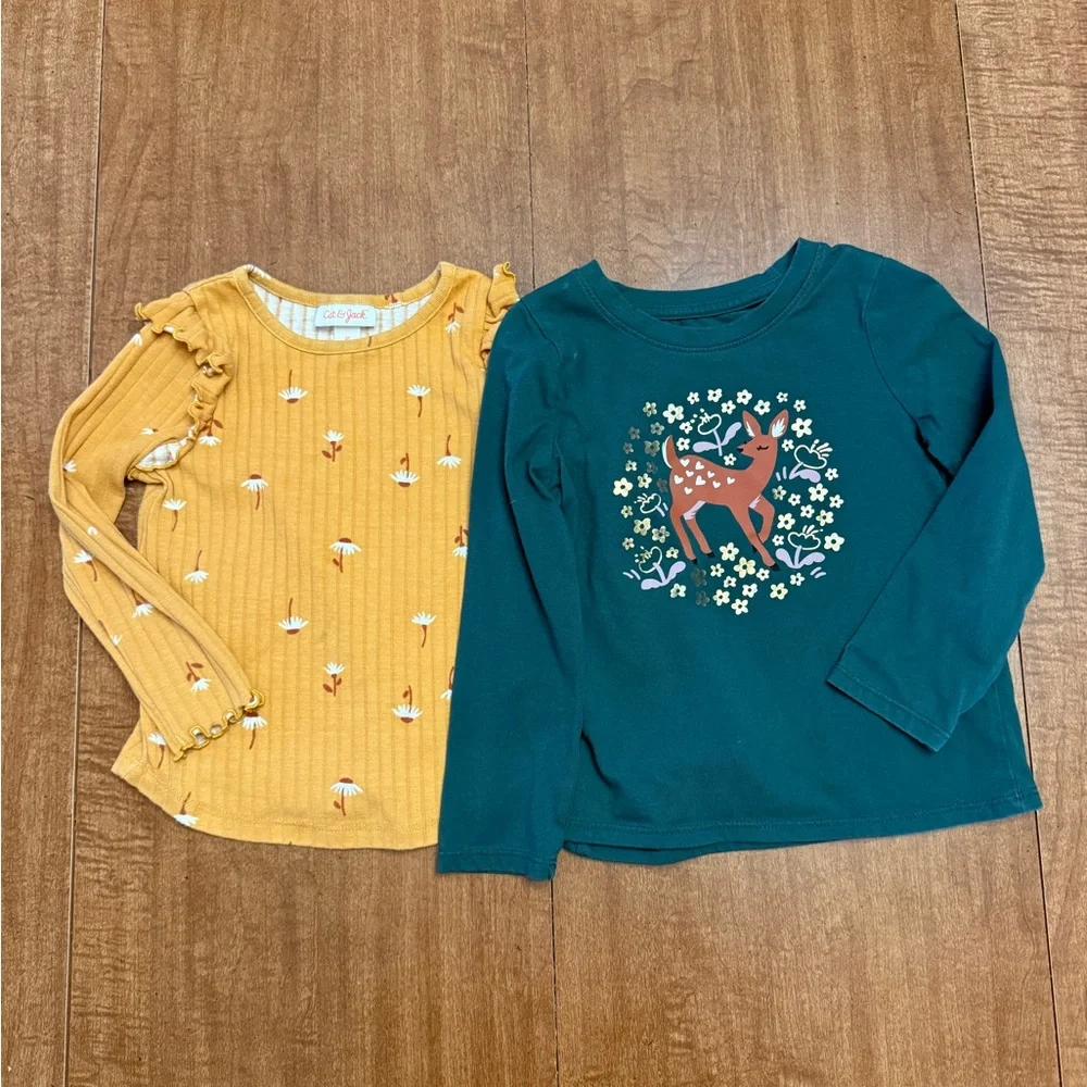 Girls 3T shirt lot-17 pieces! - Picture 5 of 6